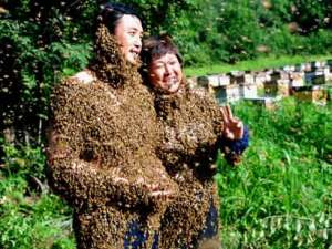 Couple in Bees